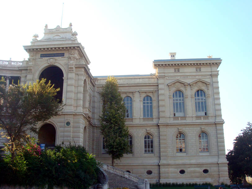 restauration des fenêtre du palais longchamp à marseille